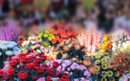 Banderesi Bucchianico, i canestri con i fiori di carta