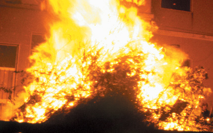 Riti del fuoco in Abruzzo
